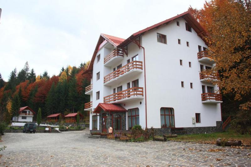 Hotel Paltinis Statjunea Borsa Luaran gambar