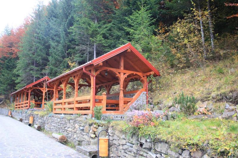 Hotel Paltinis Statjunea Borsa Luaran gambar