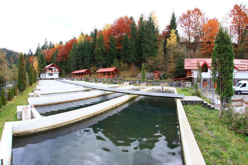 Hotel Paltinis Statjunea Borsa Luaran gambar